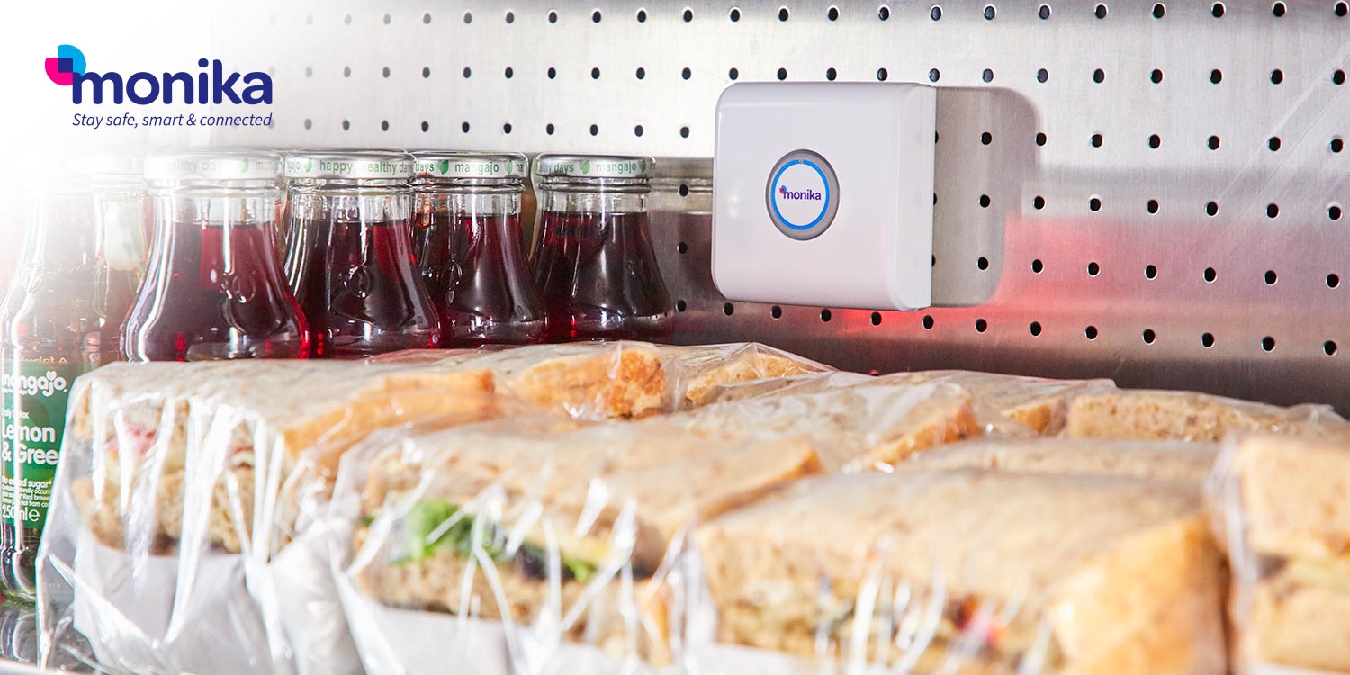 Eliminate Unnecessary Food Waste and Save Money with Monika