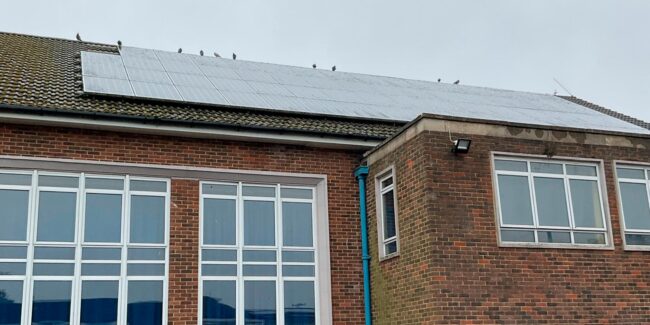 Collaborative Consultancy for a Cooler, Greener Future: Tackling School Energy Waste Across a Multi-Academy Trust